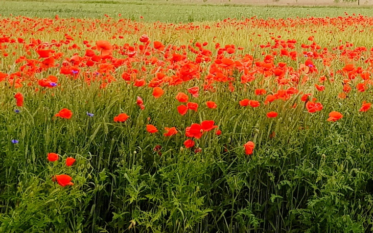 Zbiórka Życie bez długów Proszę o pomoc - zdjęcie główne