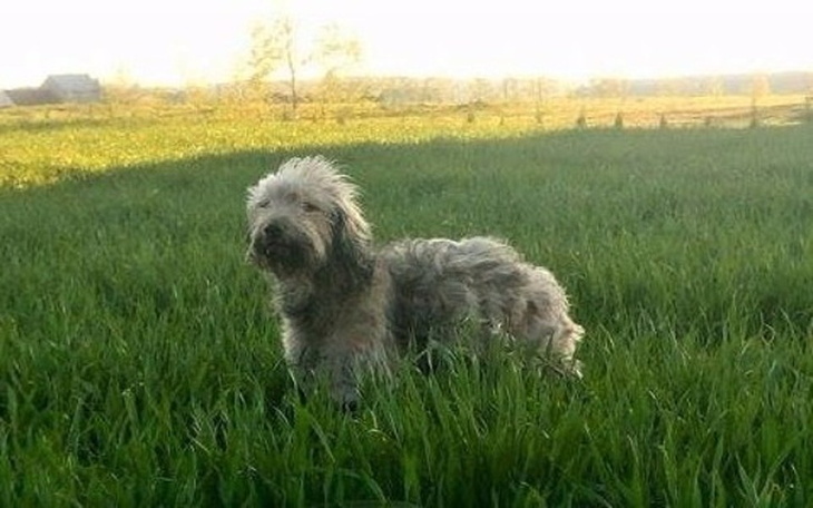 Zbiórka Niewidoczny kłębek strachu... - zdjęcie główne