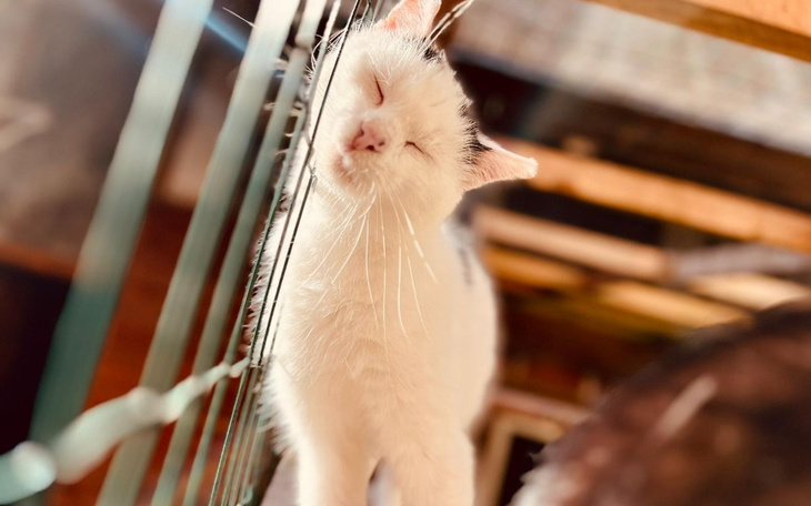 Zbiórka Zbiórka na opłatę rachunków. - zdjęcie główne