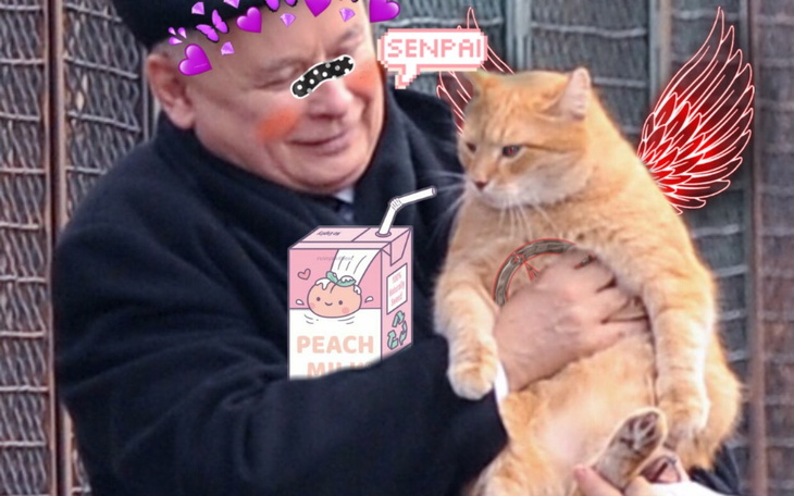 Zbiórka Stworzenie trującej truskawki - zdjęcie główne