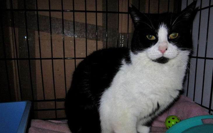 Zbiórka ZOSIA-ocalona od INKWIZYCJI ! - zdjęcie główne