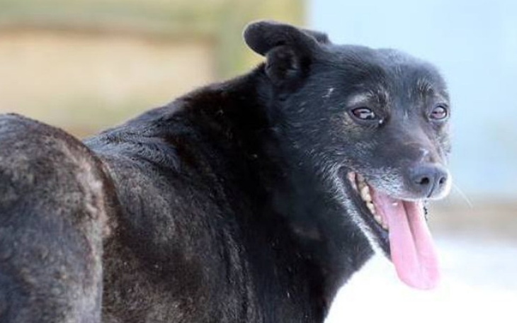 Zbiórka Babi-od 7lat czeka w hoteliku - zdjęcie główne