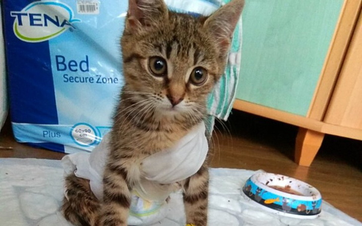 Zbiórka Wózeczek dla Pełzaczka - zdjęcie główne