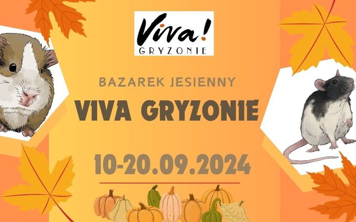 Zbiórka Bazarek jesienny Viva Gryzonie - zdjęcie główne