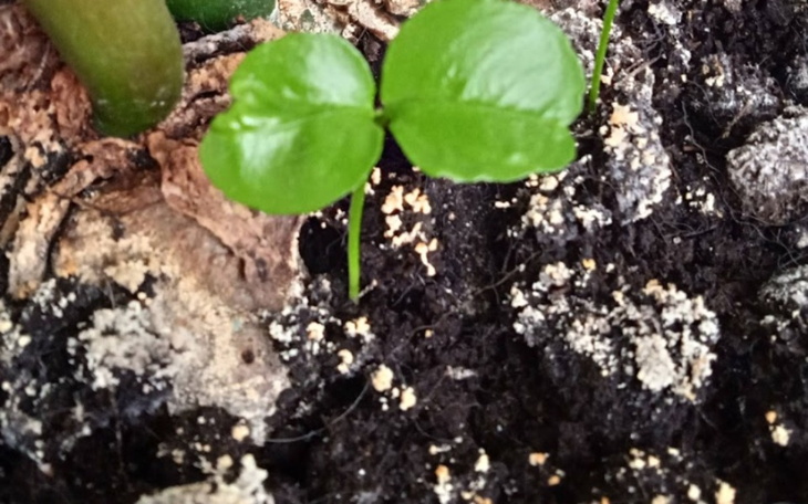 Zbiórka Na nowy start dla Oskara - zdjęcie główne