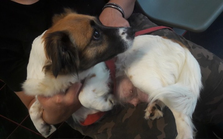 Zbiórka Wsparcie dla Hery - zdjęcie główne