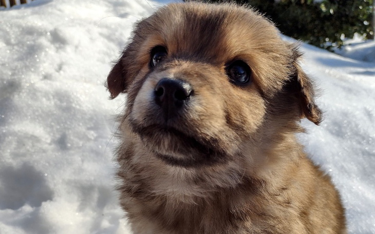 Zbiórka NaTransportPoNoweLepszeŻycie - zdjęcie główne