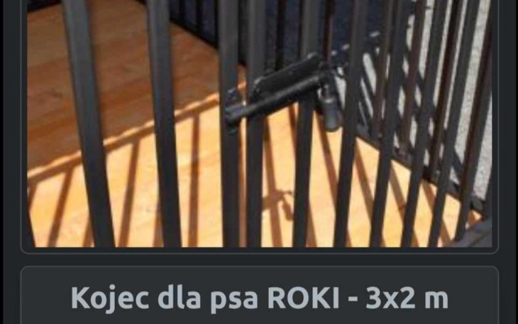 Zbiórka Kojce dla psów ze schroniska - zdjęcie główne