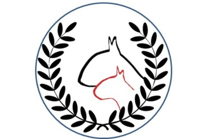 Zbiórka Country Competition 2018 BT - zdjęcie główne