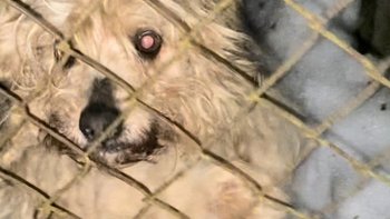 Zbiórka Wymieniony na nowszy model - miniaturka zdjęcia