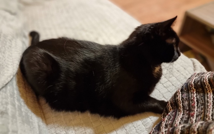 Zbiórka Racuch - zdjęcie główne