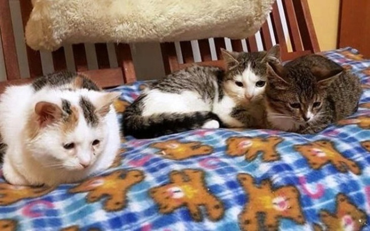 Zbiórka Straciły wszystko w pożarze ! - zdjęcie główne