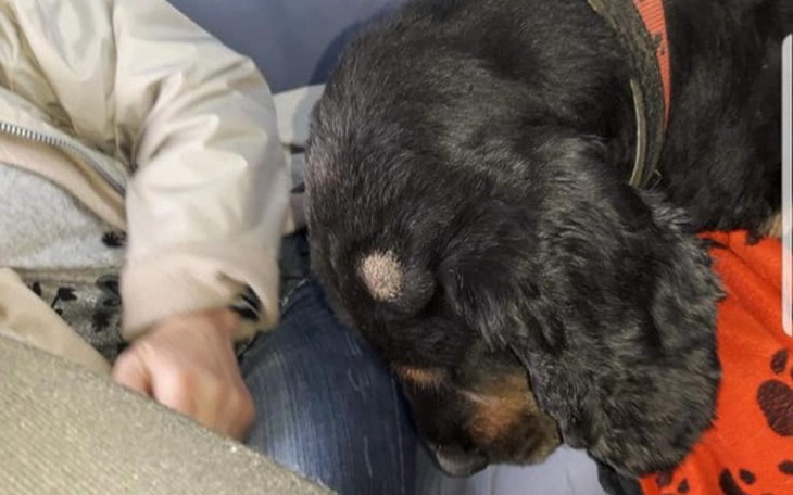 Zbiórka Gdy umiera przyjaciel.. - zdjęcie główne