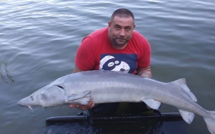 Mężczyzna trzymający dużą rybę w wodzie.