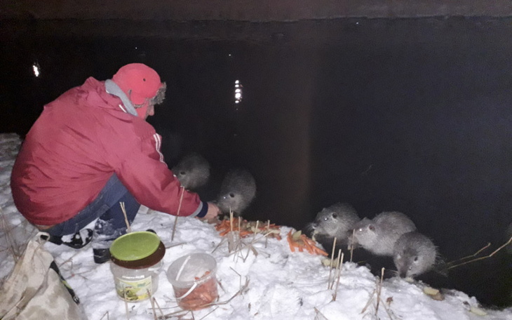 Zbiórka Dokarmianie Rybnickich NUTRII - zdjęcie główne