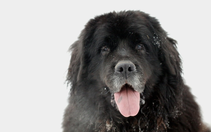 Zbiórka Buda XXXL potrzebna pilnie - zdjęcie główne