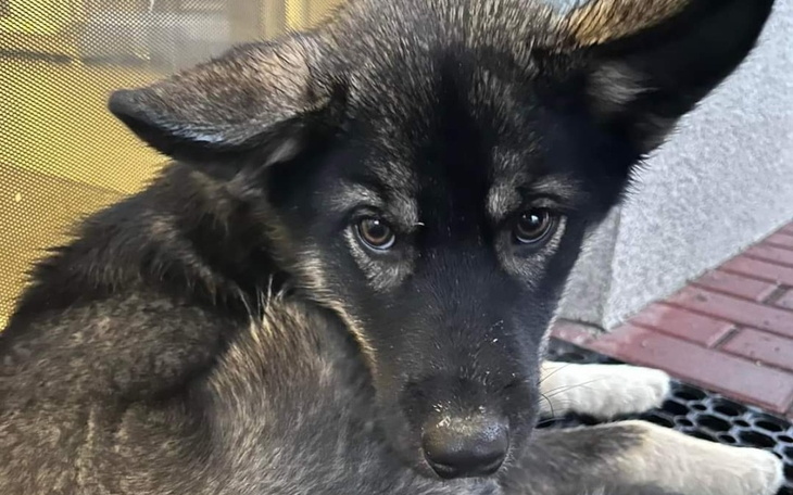 Zbiórka Sunie ze stacji benzynowej - zdjęcie główne