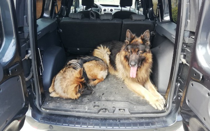 Zbiórka Grupa Poszukiwawczo-Ratownicza - zdjęcie główne