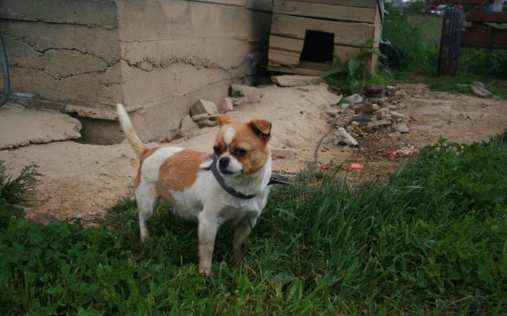 Zbiórka Samochód Interwencyjny - zdjęcie główne