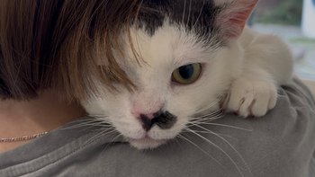 Zbiórka Leczenie Ptysia - miniaturka zdjęcia