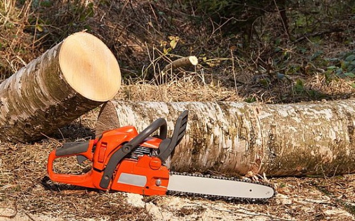 Zbiórka Pomoc w marzeniach - zdjęcie główne