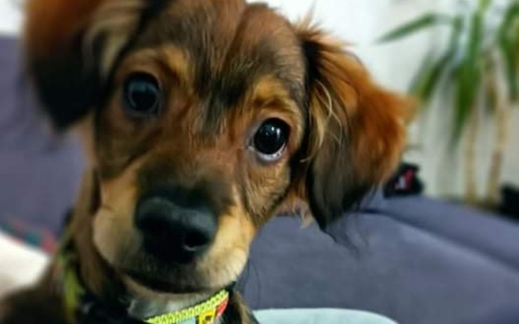 Zbiórka NaWydatki - zdjęcie główne