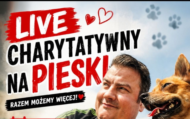 Szara i czarna kotka wygodnie drzemie na żółtym poduszce.