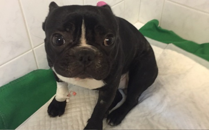 Zbiórka Zbiórka na leczenie Franusia - zdjęcie główne