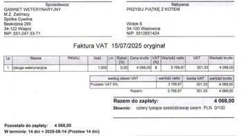 Zbiórka Faktura za lipiec - miniaturka zdjęcia