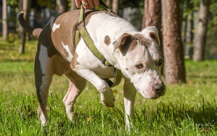 Zbiórka Tequila chce żyć normalnie - zdjęcie główne
