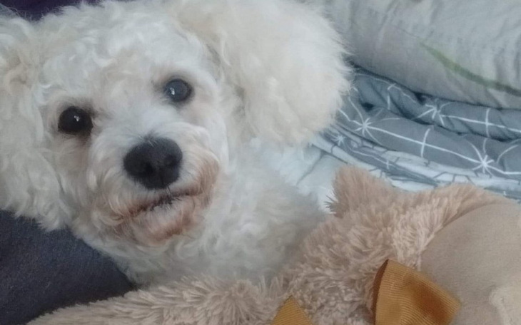 Zbiórka Dla Ryśka - zdjęcie główne