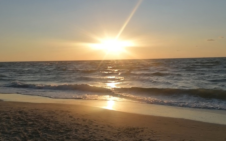 Zbiórka In vitro - ostatnia nadzieja - zdjęcie główne