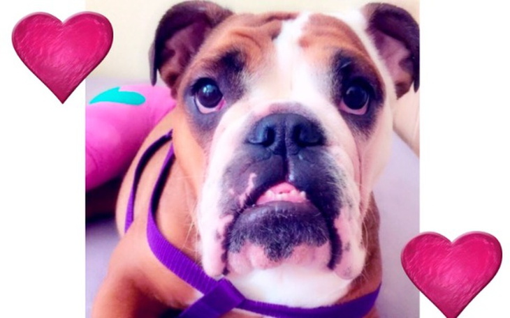 Zbiórka Operacja Marcysi - zdjęcie główne