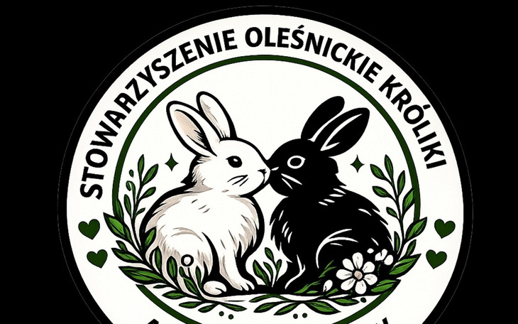 Otwarta szafka w pomieszczeniu z plamami na ścianie