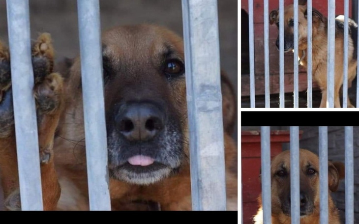 Zbiórka Drako - zdjęcie główne