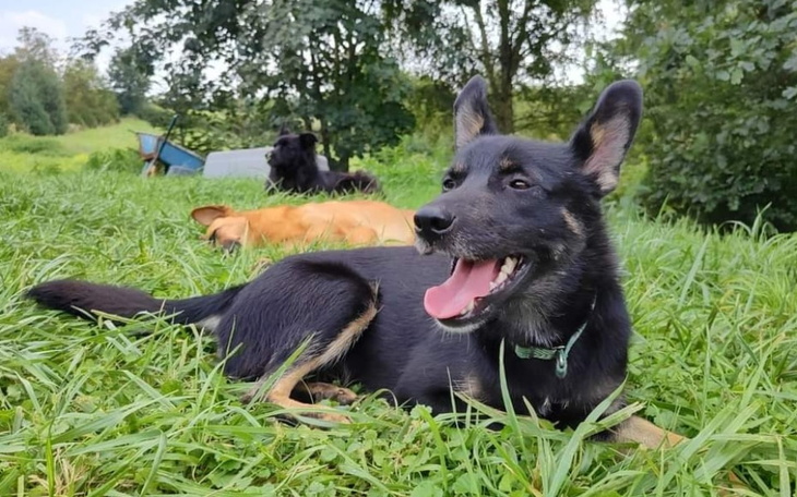 Zbiórka Zbiórka Luisa. - zdjęcie główne