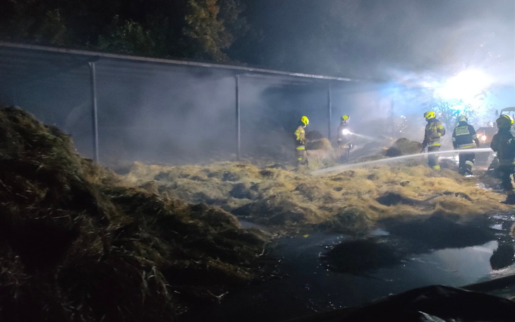 Zbiórka Pomoc dla stajni po pożarze - zdjęcie główne