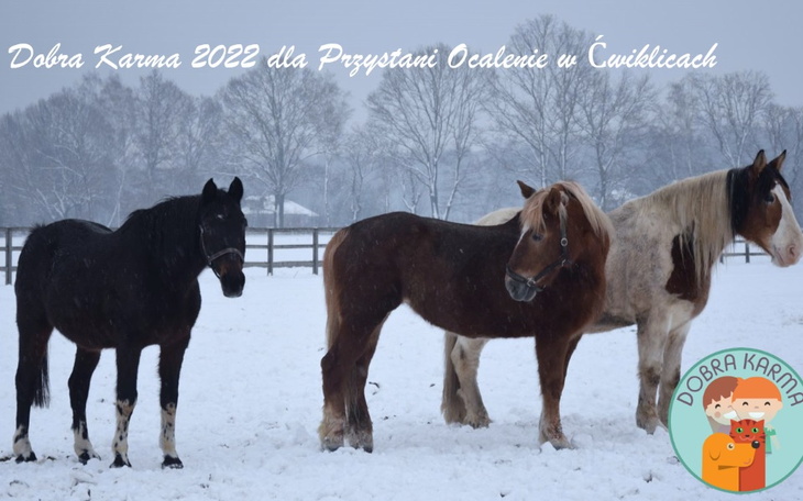 Zbiórka Dobra Karma na Święta 2022 - zdjęcie główne