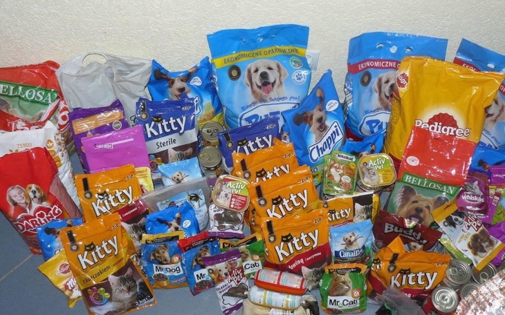 Zróżnicowane jedzenie dla psów i kotów, przygotowane dla zwierząt.