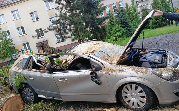 Zniszczony samochód po upadku drzewa.