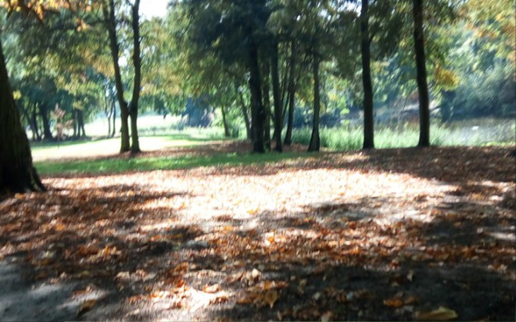 Zbiórka Spłata kredytu hipotecznego :( - zdjęcie główne