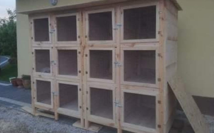 Zbiórka na budowę klatki i kurnika - zdjęcie główne