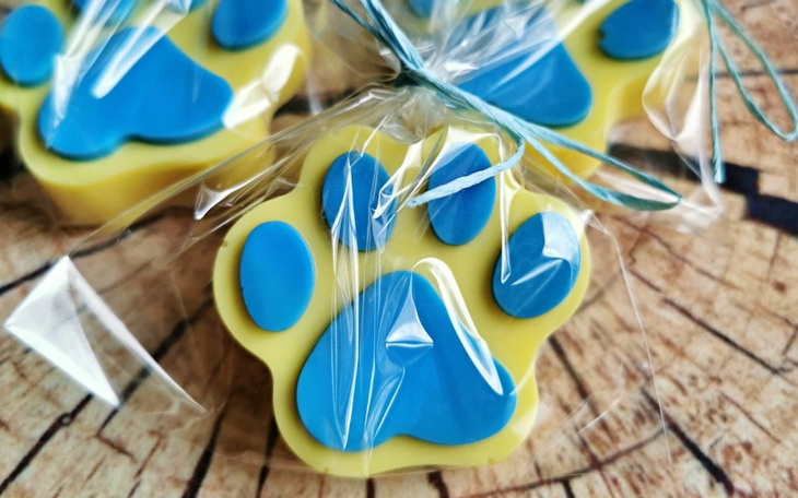 Zbiórka Fundusz dla zwierząt z UA - zdjęcie główne