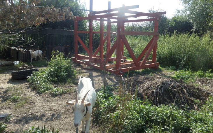 Zbiórka Kozi domek - dokończenie budowy - zdjęcie główne