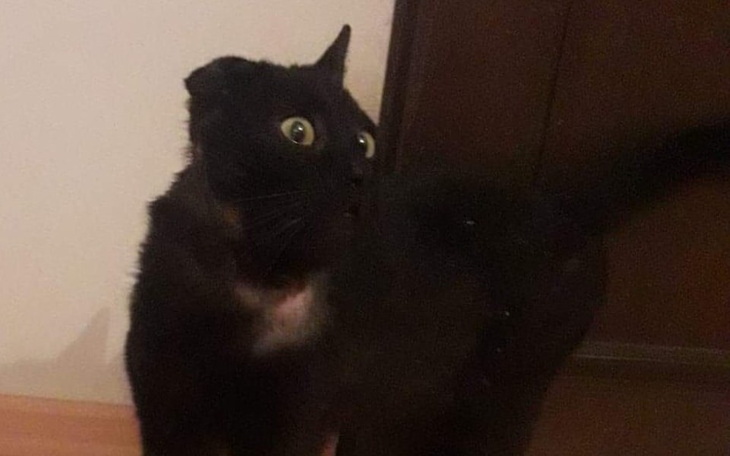 Zbiórka HubaBuba - zdjęcie główne