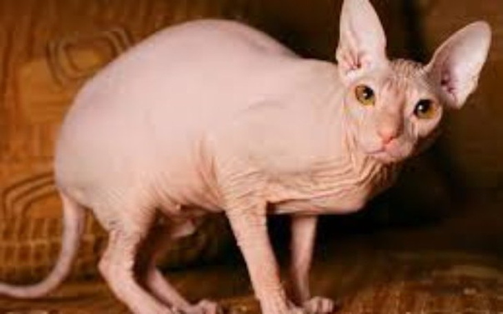 Zbiórka Ile trwa zakładanie zbiórki? - zdjęcie główne