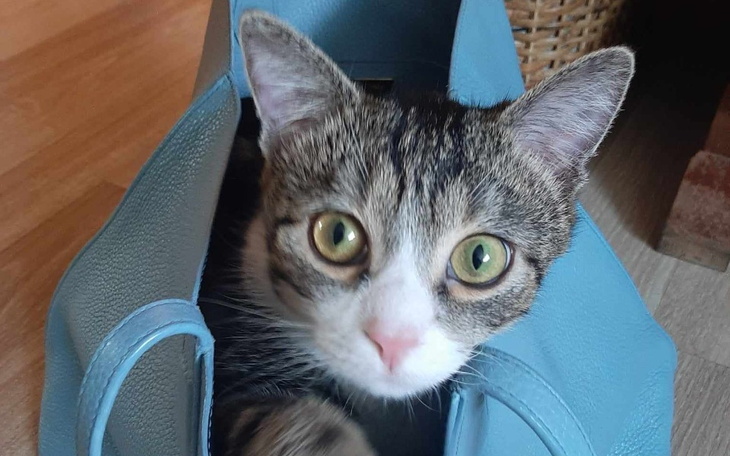 Zbiórka 2 tygodnie na ratunek - zdjęcie główne