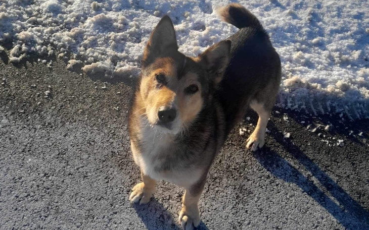 Zbiórka Zbiórka na Jamora - zdjęcie główne