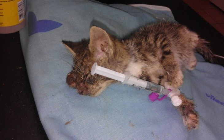 Zbiórka Zbiórka na Koncentrator tlenu - zdjęcie główne