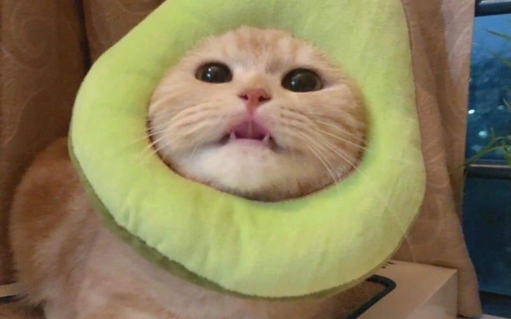 Zbiórka niespodzianka dla kolegi na miko - zdjęcie główne